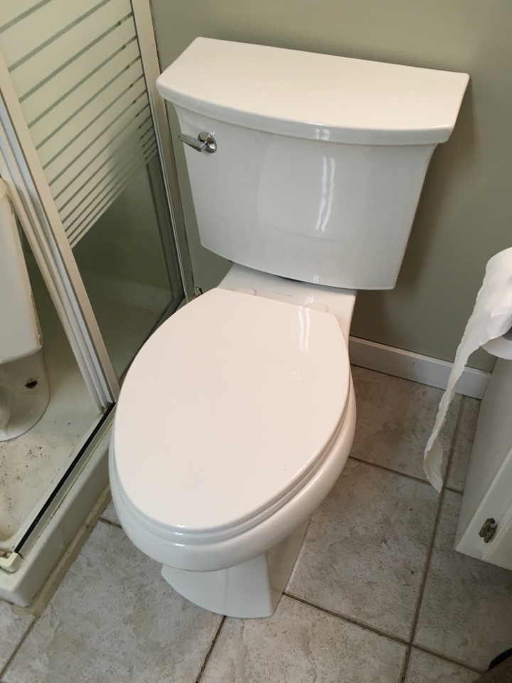 Thorncliffe, AB - Replace toilet Thorncliffe, AB - Replace toilet