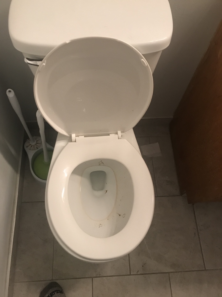 Thorncliffe, AB - Plumber required plug toilet cleared Thorncliffe, AB - Plumber required plug toilet cleared