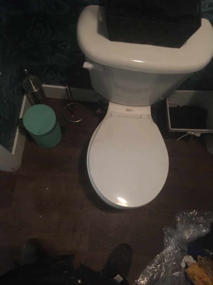 Thorncliffe, AB - Plumber needed for toilet backing up Thorncliffe, AB - Plumber needed for toilet backing up